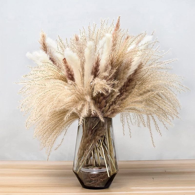 109pcs Natural Dried Pampa Grass Bouquet Large Phragmites Dried Flower Boho Home Decor Bouquet Room Holiday Wedding Party Decor 109pcs Natural Dried Pampa Grass Bouquet Large Phragmites Dried Flower Boho Home Decor Bouquet Room Holiday Wedding Party Decor
